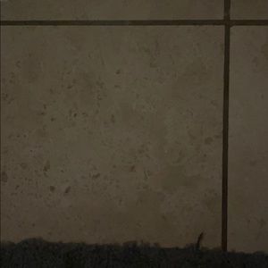 Meet your Posher, Lily